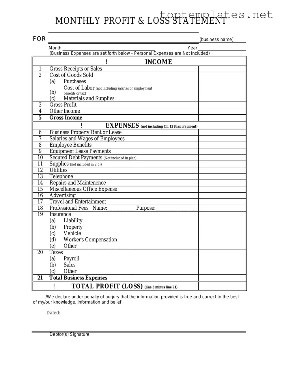 Free Profit And Loss PDF Form